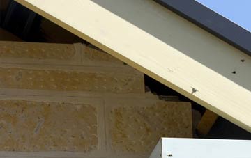 soffit repair Dolgoch